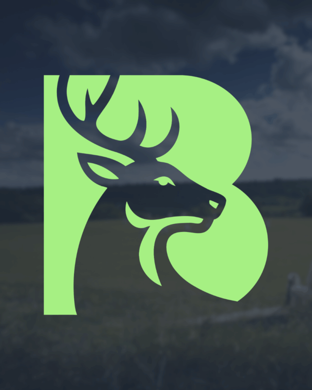 Berkshire Cricket welcomes five new Trustees to support future growth